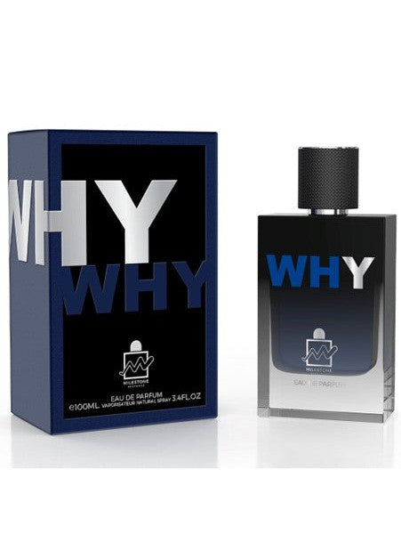 Why Eau de Parfum 100ml - for Him (Smells like Y)