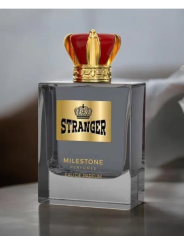 Stranger Eau to Parfum 100ml – For Him (Smells Like Scandal)